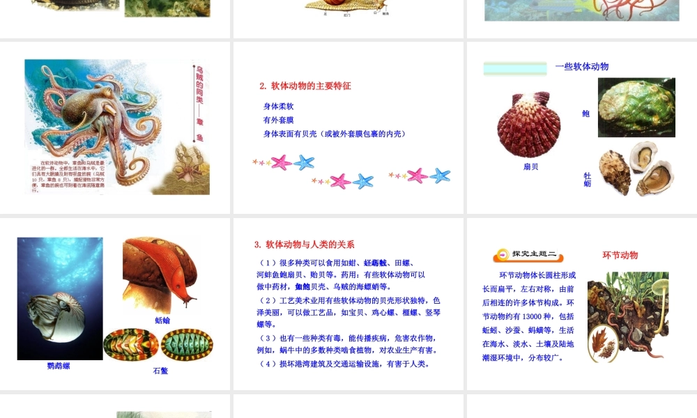 八年级生物下册 第22章 第4节《动物的主要类群》课件 （新版）北师大版