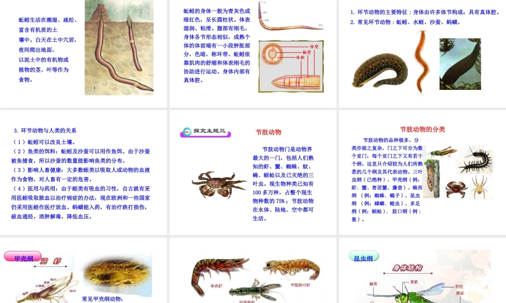 八年级生物下册 第22章 第4节《动物的主要类群》课件 （新版）北师大版