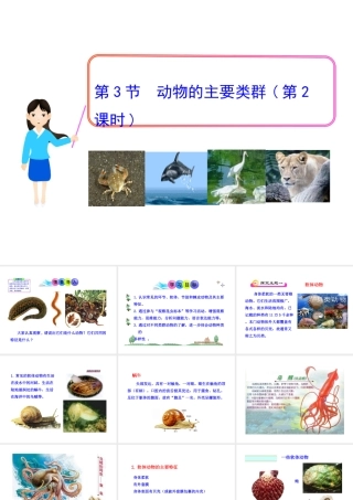 八年级生物下册 第22章 第4节《动物的主要类群》课件 （新版）北师大版