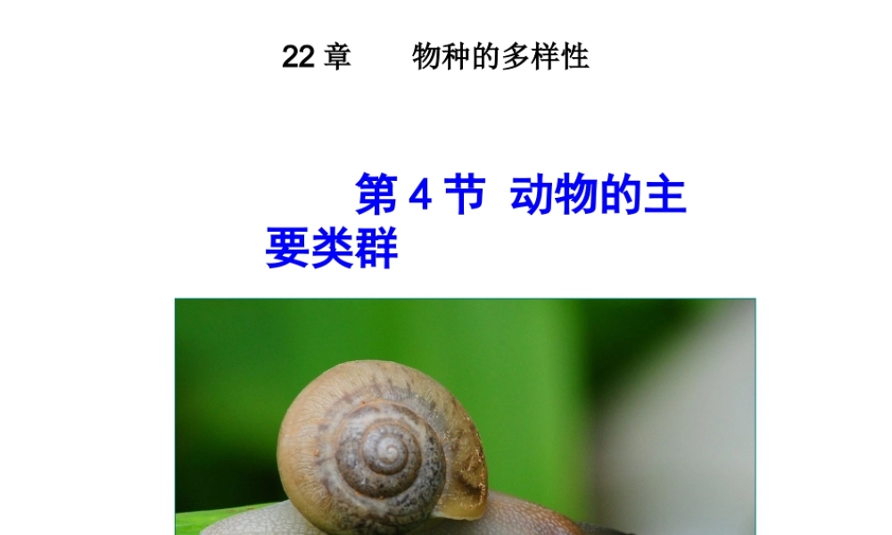 八年级生物下册 第22章 第4节动物的主要类群课件 （新版）北师大版-（新版）北师大版初中八年级下册生物课件