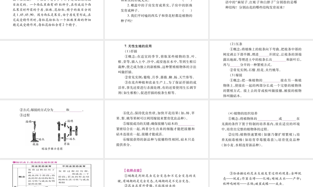 八年级生物下册 第6单元 第1章 生物的繁殖复习课件 （新版）冀教版-（新版）冀教级下册生物课件