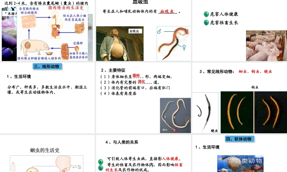 八年级生物下册 第22章 第4节动物的主要类群课件 （新版）北师大版-（新版）北师大级下册生物课件