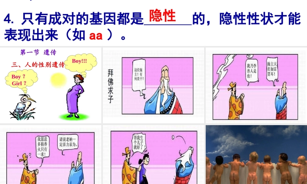 八年级生物下册 第6单元 第2章 第1节 遗传 人的性别决定课件 （新版）冀教版-（新版）冀教版初中八年级下册生物课件