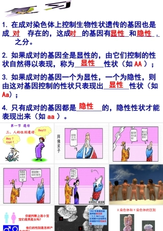 八年级生物下册 第6单元 第2章 第1节 遗传 人的性别决定课件 （新版）冀教版-（新版）冀教版初中八年级下册生物课件