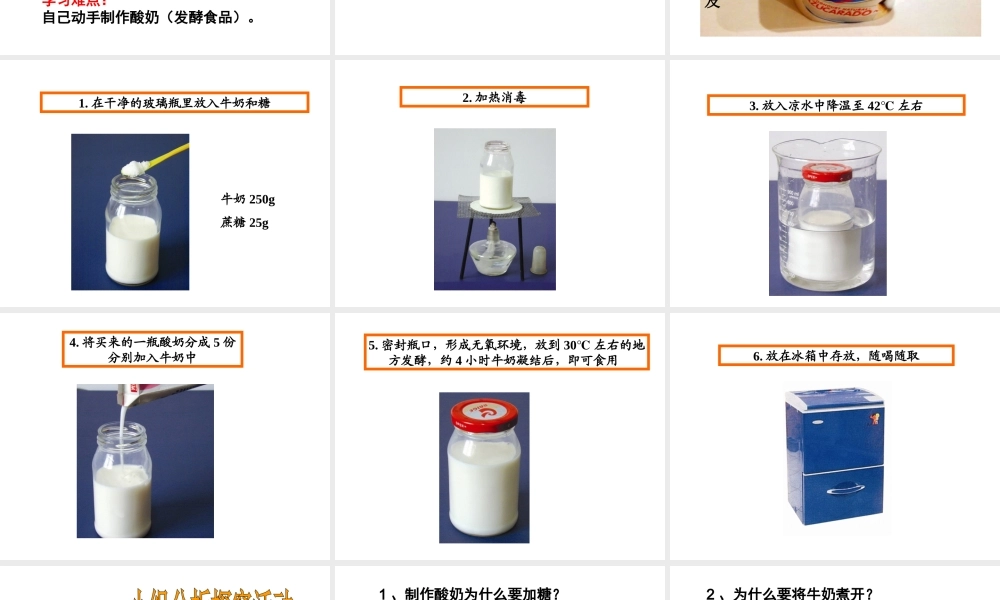 八年级生物下册 第八单元 第一章 第一节 发酵食品的制作课件 冀教版-冀教级下册生物课件