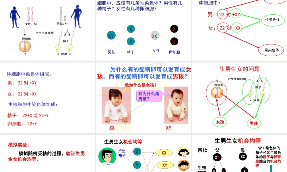 八年级生物下册 第6单元 第2章 第1节 遗传 人的性别决定课件 （新版）冀教版-（新版）冀教级下册生物课件
