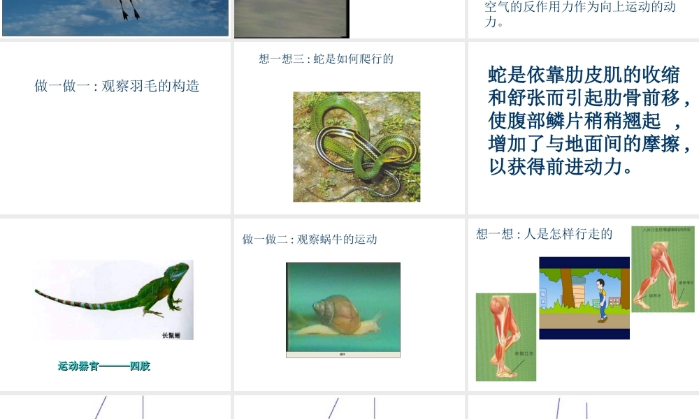 八年级科学上册 2.2人和动物的运动状态改变课件1 华师大版