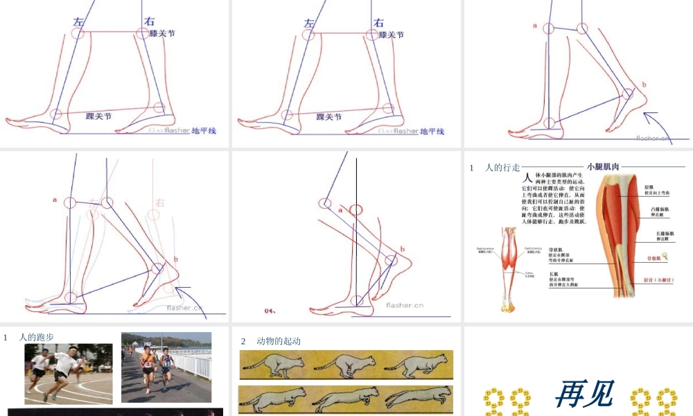 八年级科学上册 2.2人和动物的运动状态改变课件1 华师大版