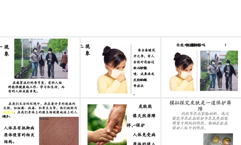 八年级生物下册 第8单元 健康地生活 第24章 第1节《人体的免疫防线》教学课件1 （新版）苏科版-（新版）苏科版初中八年级下册生物课件