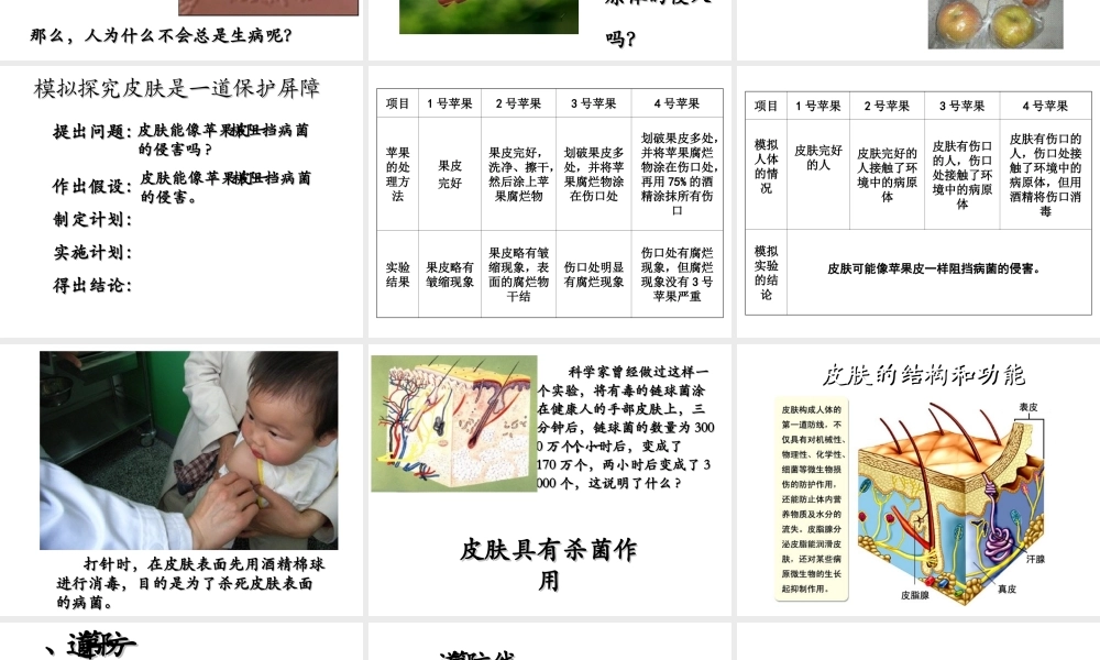 八年级生物下册 第8单元 健康地生活 第24章 第1节《人体的免疫防线》教学课件1 （新版）苏科版-（新版）苏科版初中八年级下册生物课件