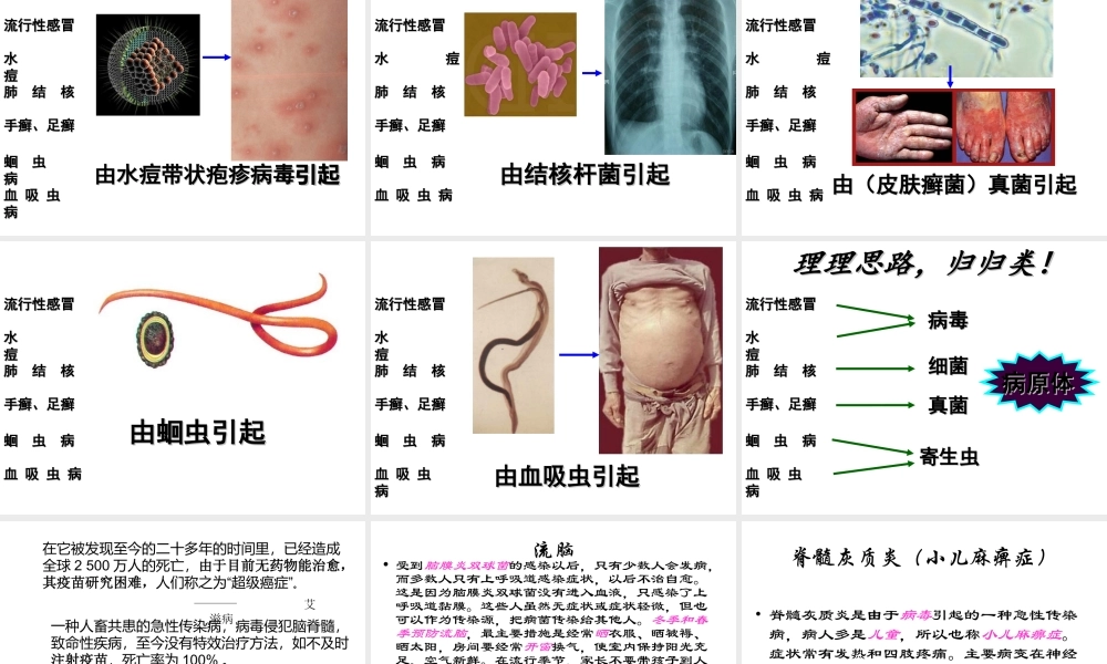 八年级生物下册 第八单元 第一章 第一节 染病及其预防课件2 新人教版
