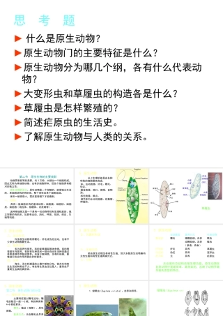 八年级生物下册 第22章 第二节 原生生物的主要类群课件2 （新版）北师大版