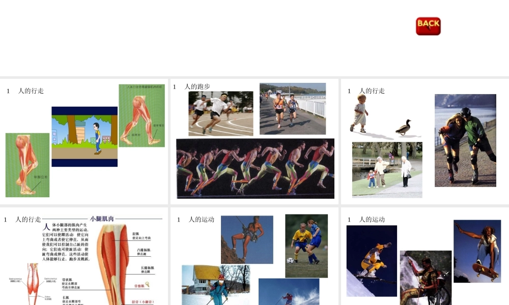 八年级科学上册 2.2人和动物的运动状态改变课件2 华师大版