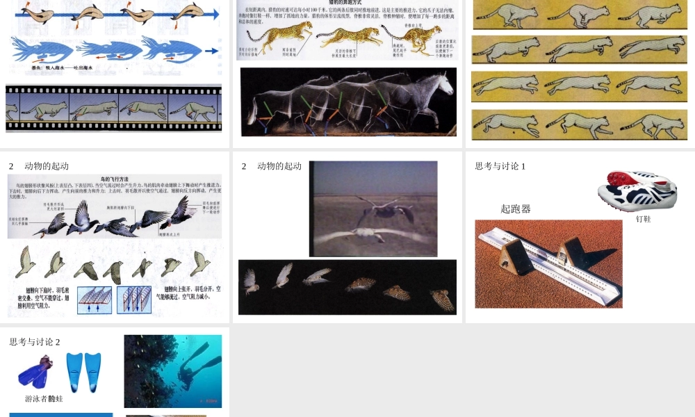八年级科学上册 2.2人和动物的运动状态改变课件2 华师大版