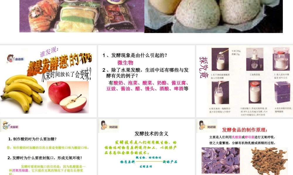 八年级生物下册 第八单元 第一章 第一节《发酵食品的制作》课件 冀教版-冀教版初中八年级下册生物课件