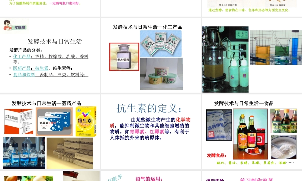 八年级生物下册 第八单元 第一章 第一节《发酵食品的制作》课件 冀教版-冀教版初中八年级下册生物课件