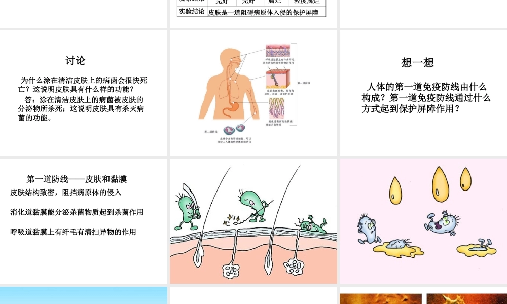 八年级生物下册 第8单元 健康地生活 第24章 第1节《人体的免疫防线》教学课件2 （新版）苏科版-（新版）苏科级下册生物课件
