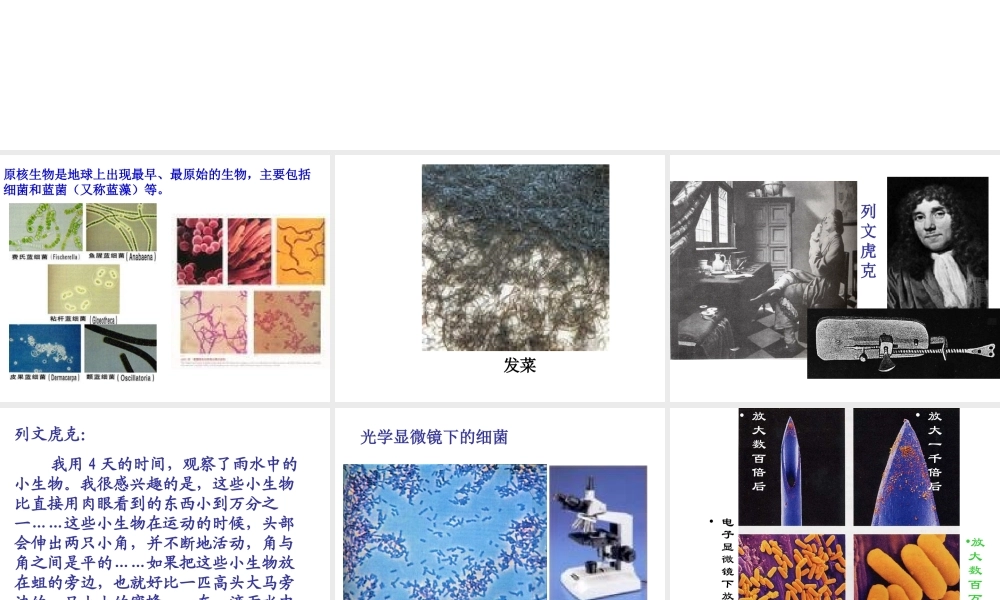 八年级生物下册 第22章 第二节 原生生物的主要类群课件4 （新版）北师大版