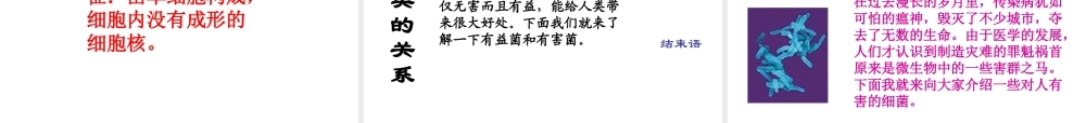 八年级生物下册 第22章 第二节 原生生物的主要类群课件4 （新版）北师大版