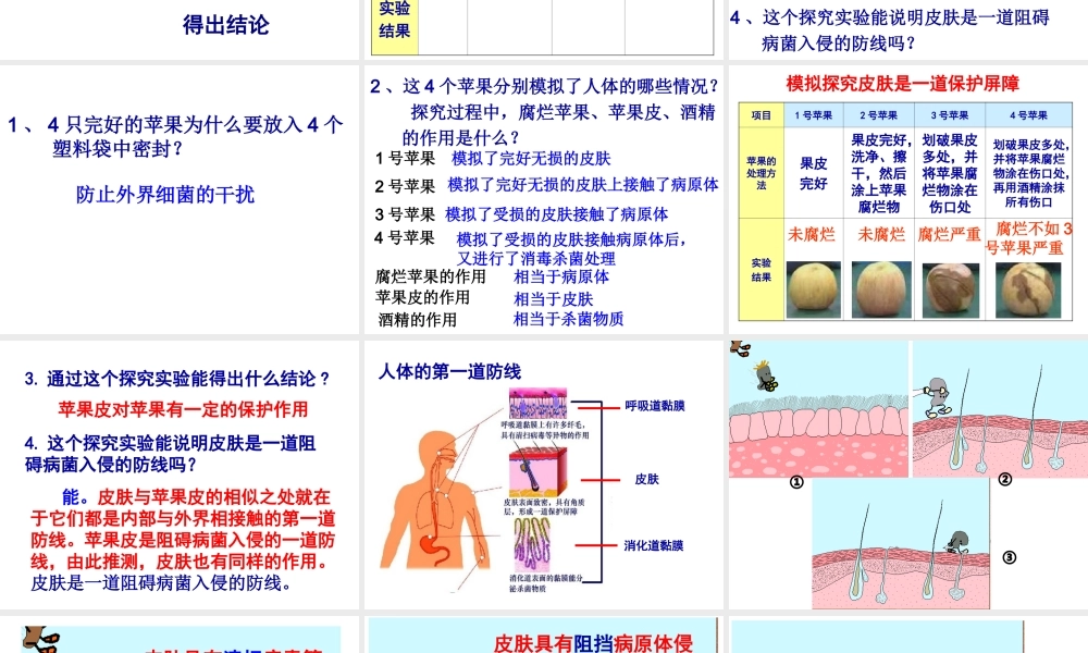 八年级生物下册 第8单元 健康地生活 第24章 第1节《人体的免疫防线》课件 （新版）苏科版-（新版）苏科版初中八年级下册生物课件