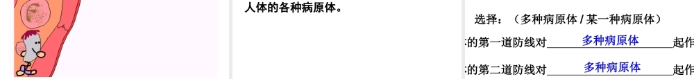 八年级生物下册 第8单元 健康地生活 第24章 第1节《人体的免疫防线》课件 （新版）苏科版-（新版）苏科版初中八年级下册生物课件