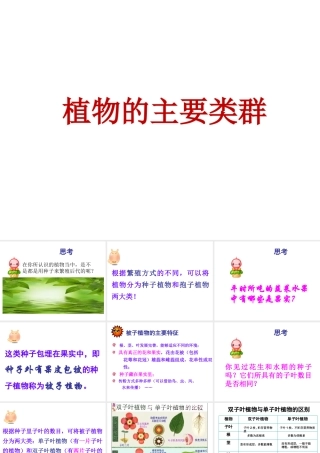 八年级生物下册 第22章 第三节 植物的主要类群课件 北师大版