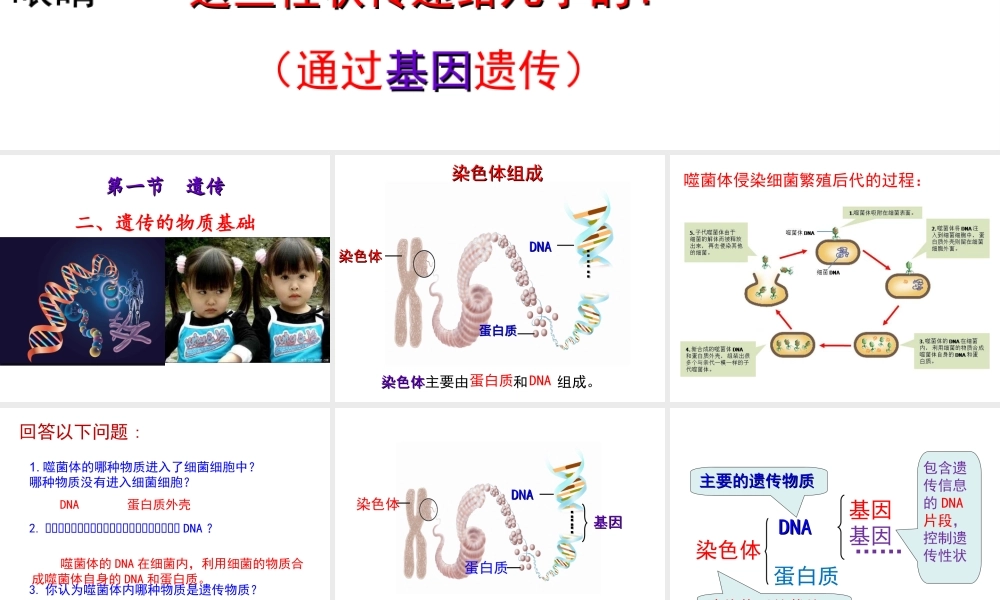 八年级生物下册 第6单元 第2章 第1节 遗传 遗传的物质基础课件 （新版）冀教版-（新版）冀教版初中八年级下册生物课件