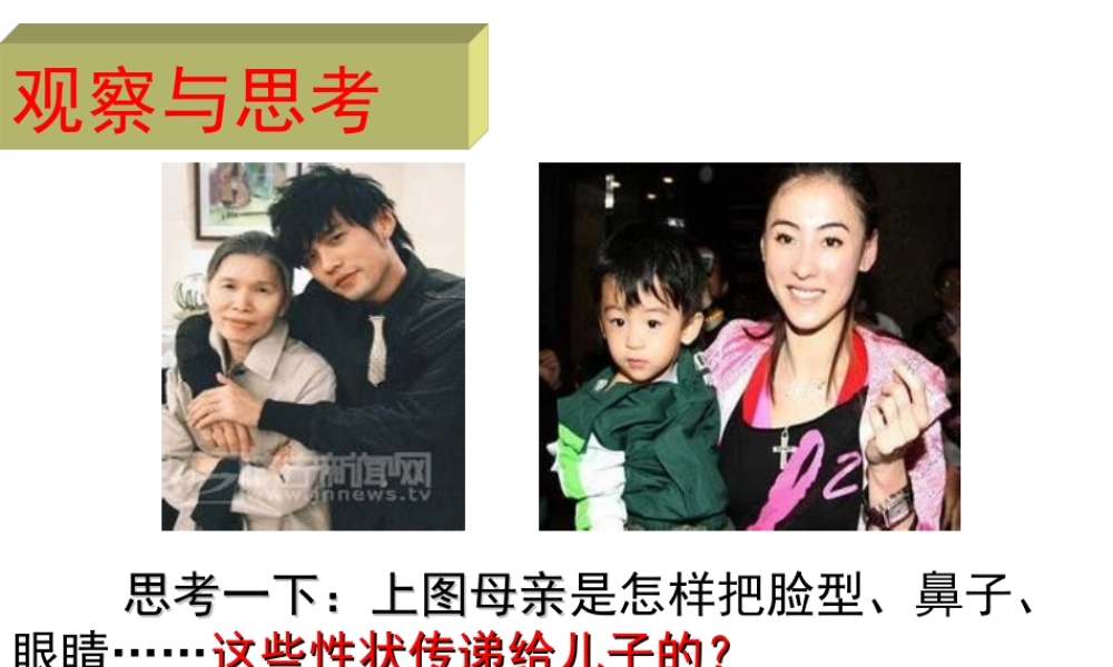 八年级生物下册 第6单元 第2章 第1节 遗传 遗传的物质基础课件 （新版）冀教版-（新版）冀教级下册生物课件