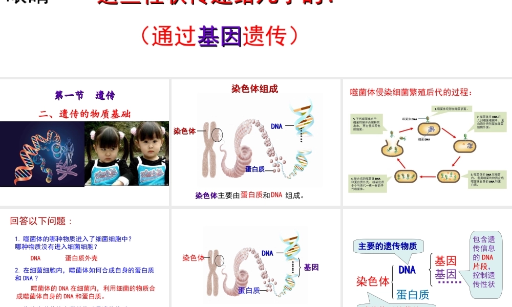 八年级生物下册 第6单元 第2章 第1节 遗传 遗传的物质基础课件 （新版）冀教版-（新版）冀教级下册生物课件