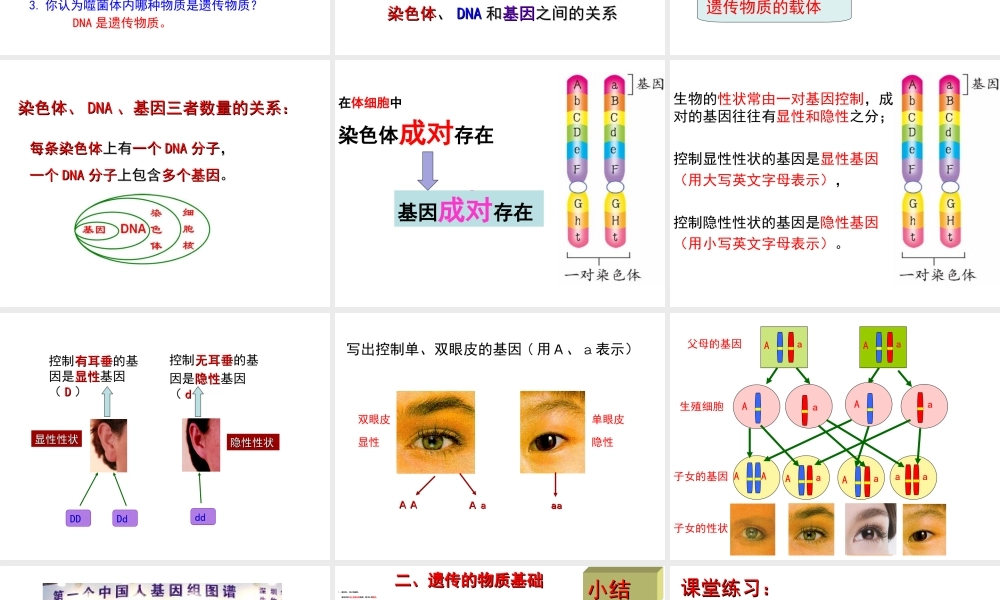 八年级生物下册 第6单元 第2章 第1节 遗传 遗传的物质基础课件 （新版）冀教版-（新版）冀教级下册生物课件