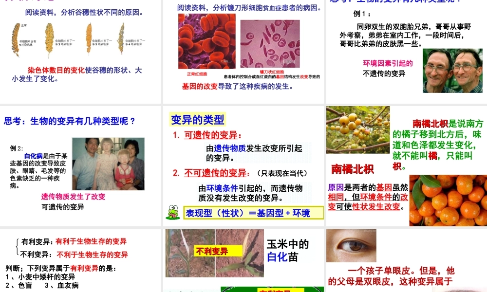 八年级生物下册 第6单元 第2章 第2节 变异课件 （新版）冀教版-（新版）冀教版初中八年级下册生物课件