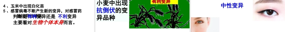 八年级生物下册 第6单元 第2章 第2节 变异课件 （新版）冀教版-（新版）冀教版初中八年级下册生物课件