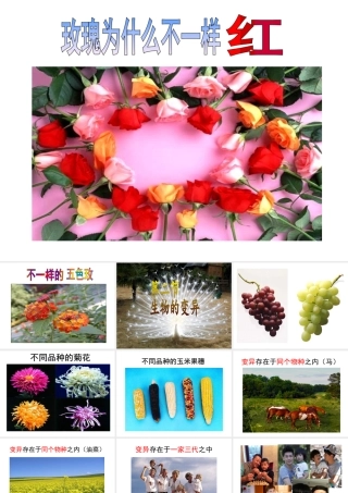 八年级生物下册 第6单元 第2章 第2节 变异课件 （新版）冀教版-（新版）冀教版初中八年级下册生物课件