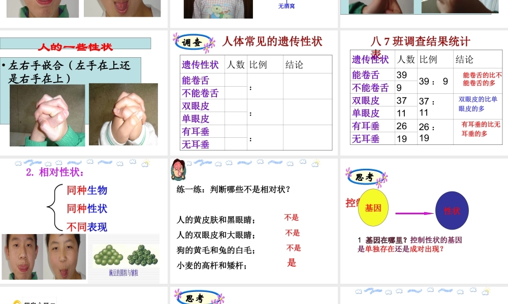 八年级生物下册 第八单元 生物的生殖、发育与遗传 第二十二章 生物的遗传和变异 第二节 人的性状和遗传课件1（新版）苏教版-（新版）苏教版初中八年级下册生物课件