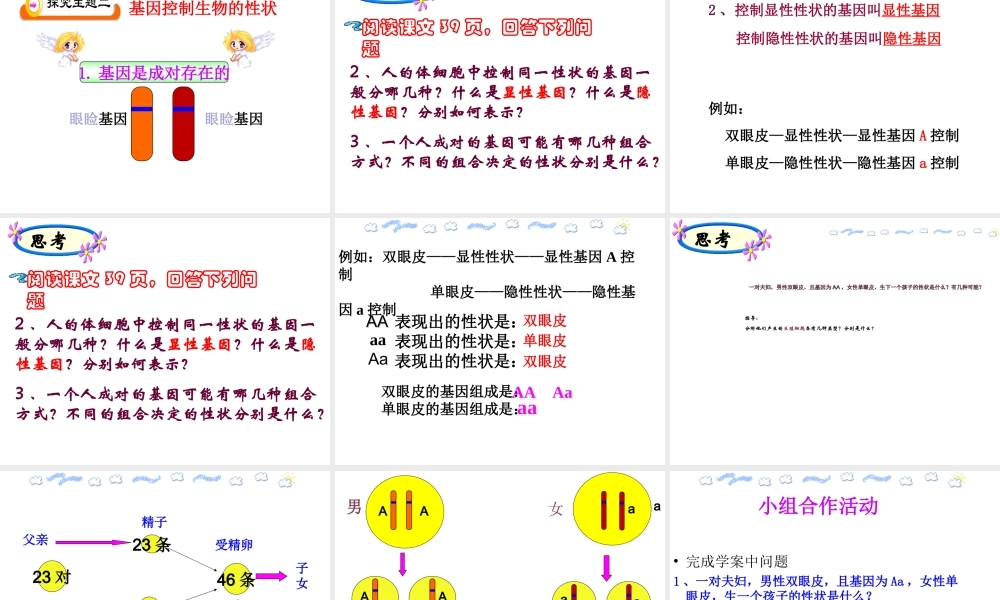 八年级生物下册 第八单元 生物的生殖、发育与遗传 第二十二章 生物的遗传和变异 第二节 人的性状和遗传课件1（新版）苏教版-（新版）苏教版初中八年级下册生物课件