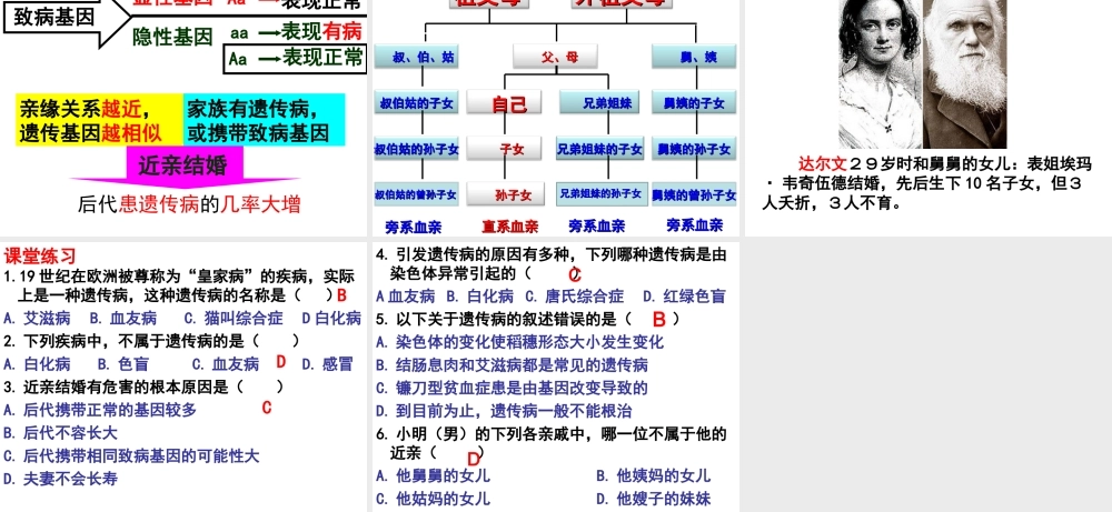 八年级生物下册 第6单元 第2章 第3节 遗传病与优生课件 （新版）冀教版-（新版）冀教版初中八年级下册生物课件