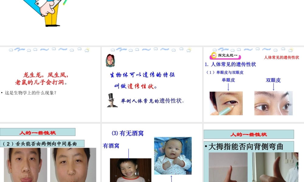 八年级生物下册 第八单元 生物的生殖、发育与遗传 第二十二章 生物的遗传和变异 第二节 人的性状和遗传课件1（新版）苏教版-（新版）苏教级下册生物课件