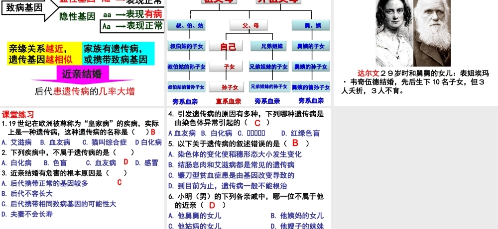 八年级生物下册 第6单元 第2章 第3节 遗传病与优生课件 （新版）冀教版-（新版）冀教级下册生物课件