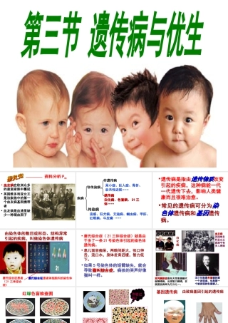 八年级生物下册 第6单元 第2章 第3节 遗传病与优生课件 （新版）冀教版-（新版）冀教级下册生物课件