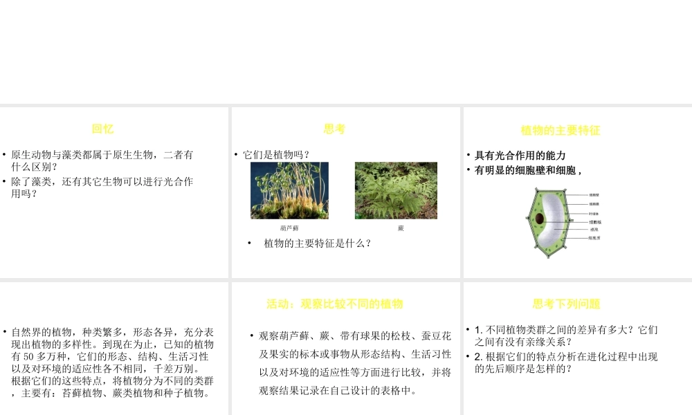 八年级生物下册 第22章 第三节 植物的主要类群课件1 （新版）北师大版