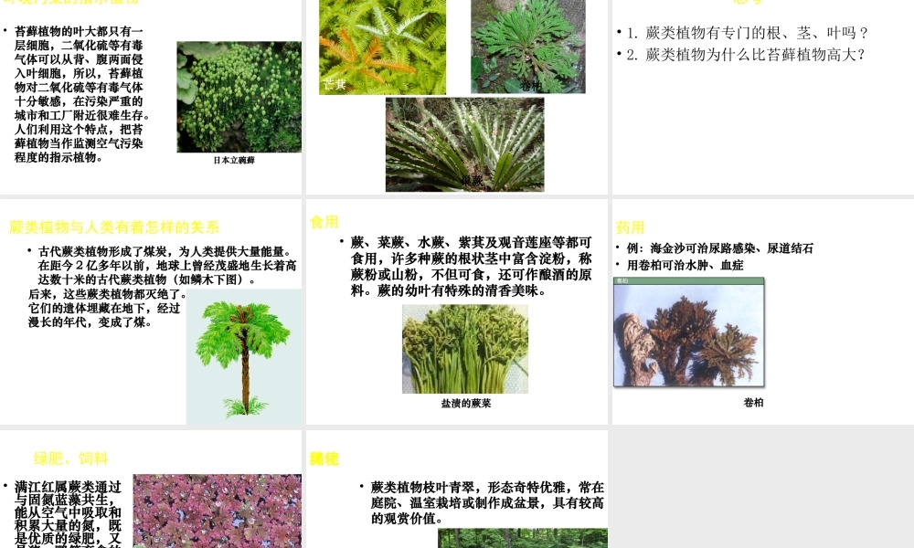 八年级生物下册 第22章 第三节 植物的主要类群课件1 （新版）北师大版