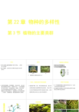 八年级生物下册 第22章 第三节 植物的主要类群课件1 （新版）北师大版