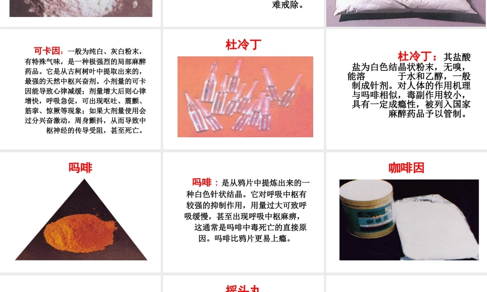 八年级生物下册 第8单元 健康地生活 第25章 第3节《远离烟酒 拒绝毒品》课件1 （新版）苏科版-（新版）苏科版初中八年级下册生物课件