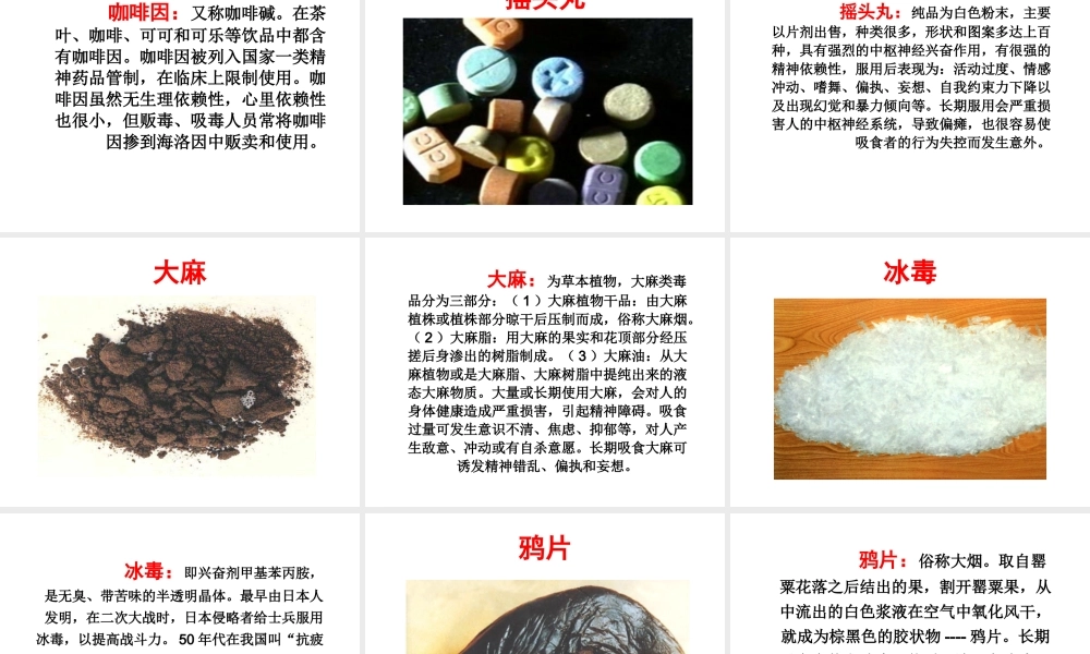 八年级生物下册 第8单元 健康地生活 第25章 第3节《远离烟酒 拒绝毒品》课件1 （新版）苏科版-（新版）苏科级下册生物课件