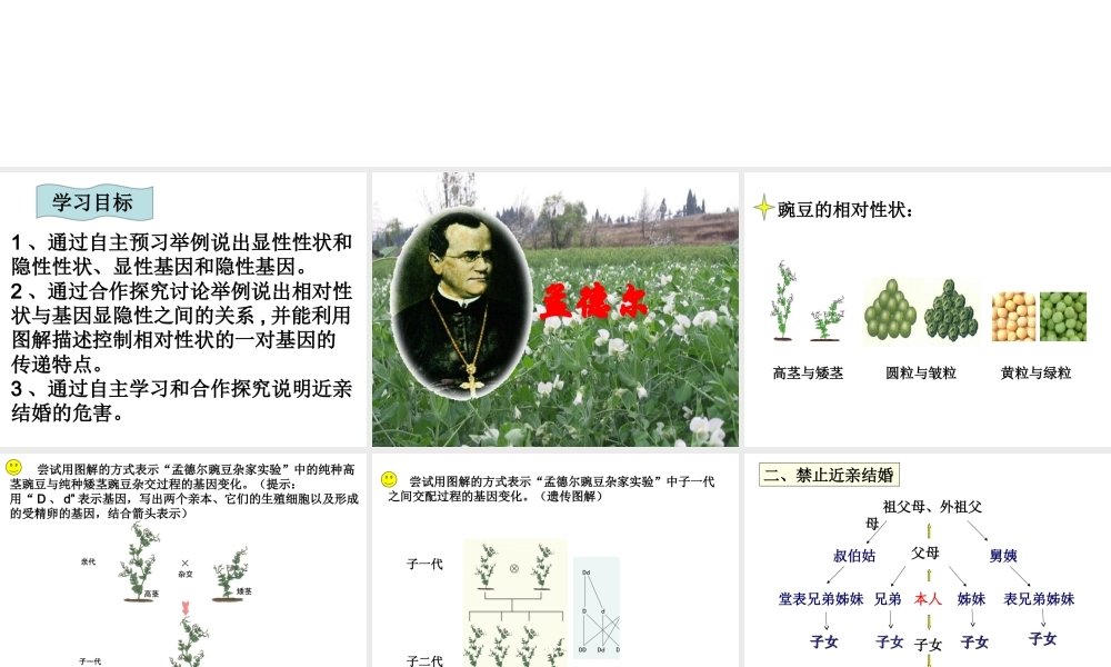 八年级生物下册 第八单元 生物的生殖、发育与遗传 第二十二章 生物的遗传和变异 第二节 人的性状和遗传课件3（新版）苏教版-（新版）苏教级下册生物课件