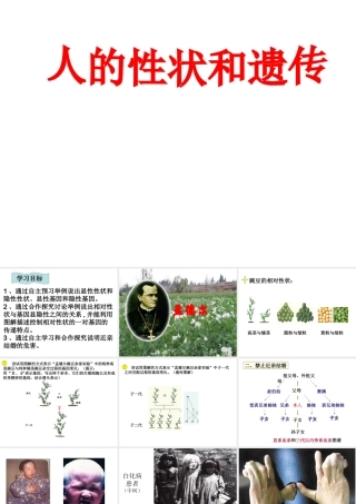 八年级生物下册 第八单元 生物的生殖、发育与遗传 第二十二章 生物的遗传和变异 第二节 人的性状和遗传课件3（新版）苏教版-（新版）苏教级下册生物课件