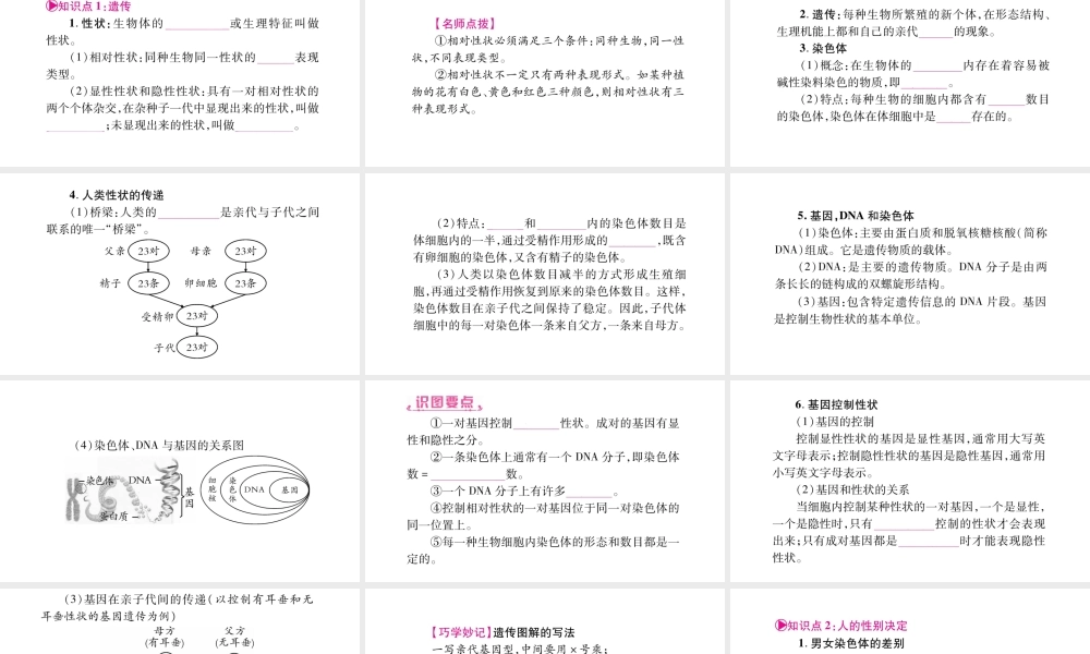 八年级生物下册 第6单元 第2章 生物的遗传和变异复习课件 （新版）冀教版-（新版）冀教级下册生物课件