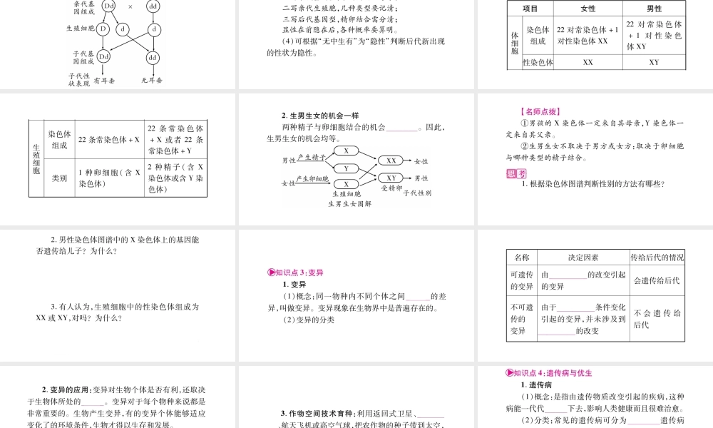 八年级生物下册 第6单元 第2章 生物的遗传和变异复习课件 （新版）冀教版-（新版）冀教级下册生物课件