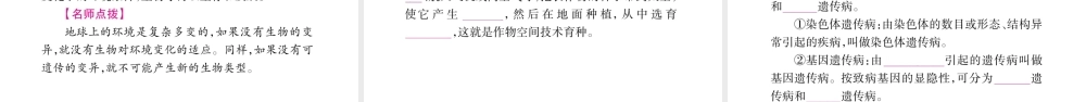 八年级生物下册 第6单元 第2章 生物的遗传和变异复习课件 （新版）冀教版-（新版）冀教级下册生物课件