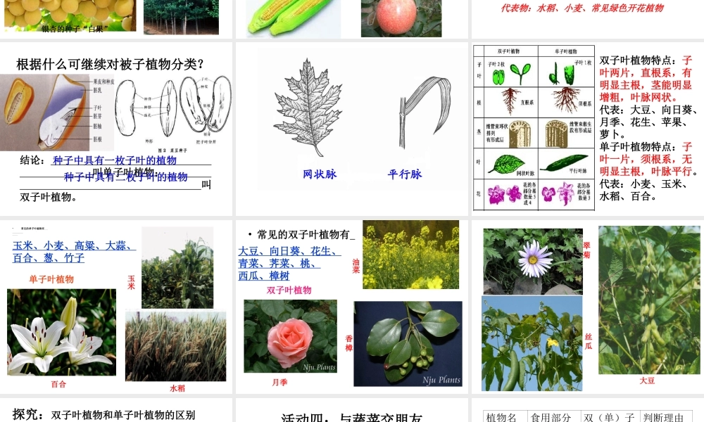 八年级生物下册 第22章 第三节 植物的主要类群课件3 （新版）北师大版